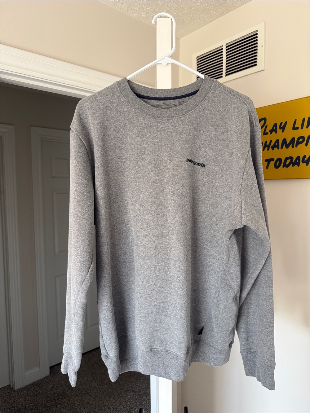 Patagonia Heather Gray Men's Crewneck Sweatshirt